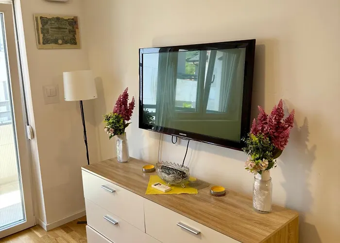 Daire Mirabela Soko Banja